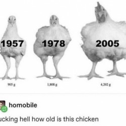 How Old?