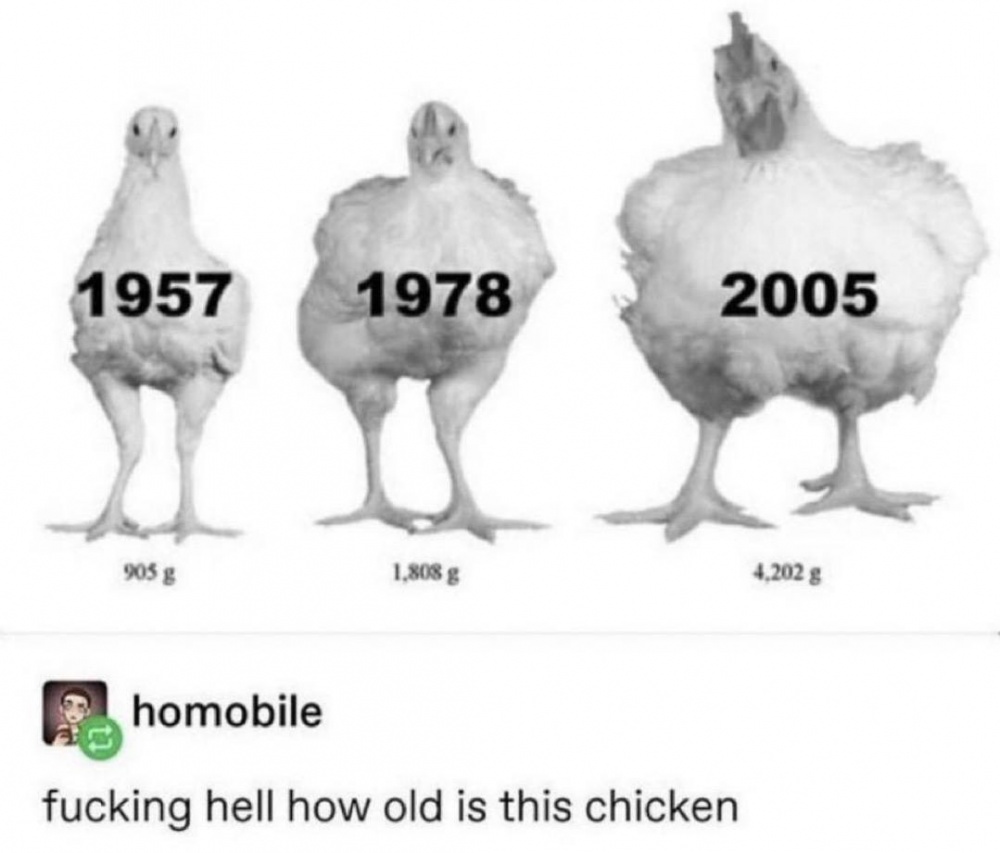 How Old? #0